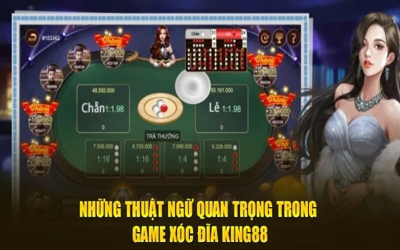 Tìm hiểu về các thuật ngữ trong xóc đĩa king88