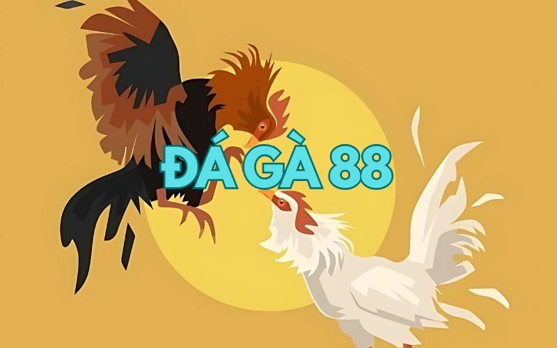 Đá Gà 88 - 5 Phút Chơi Hiệu Quả Cùng Chuyên Gia King88